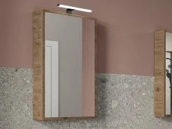 Specchio Bagno Qubo Contenitore 50x85 P14 Verticale Sherwood